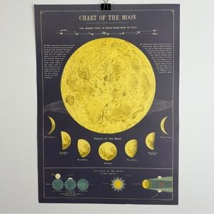 Cavallini Chart of the Moon 20” x 28” Poster